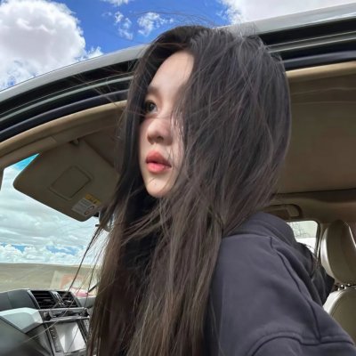 齐姆与友